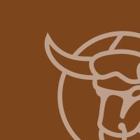 Bronze Watermark on Brown Background